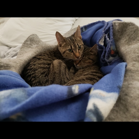 Alex & Ali - Picture 8 of 9